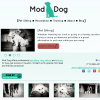 WordPress Theme Development and Design for Local Houston Pet Specialty Business.